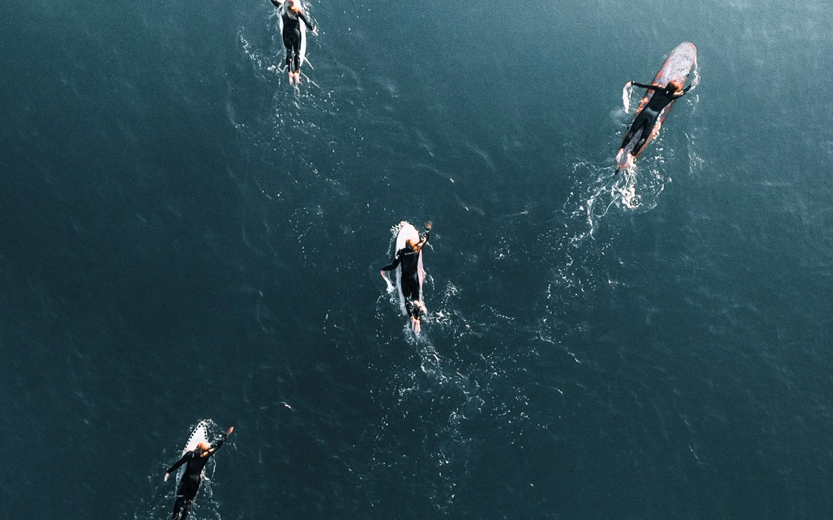 Surf environment